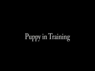 Filhote cachorro em treinamento femdom footfetish pé adoração