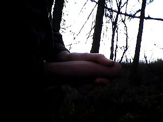 eu na madeira, ich im Wald